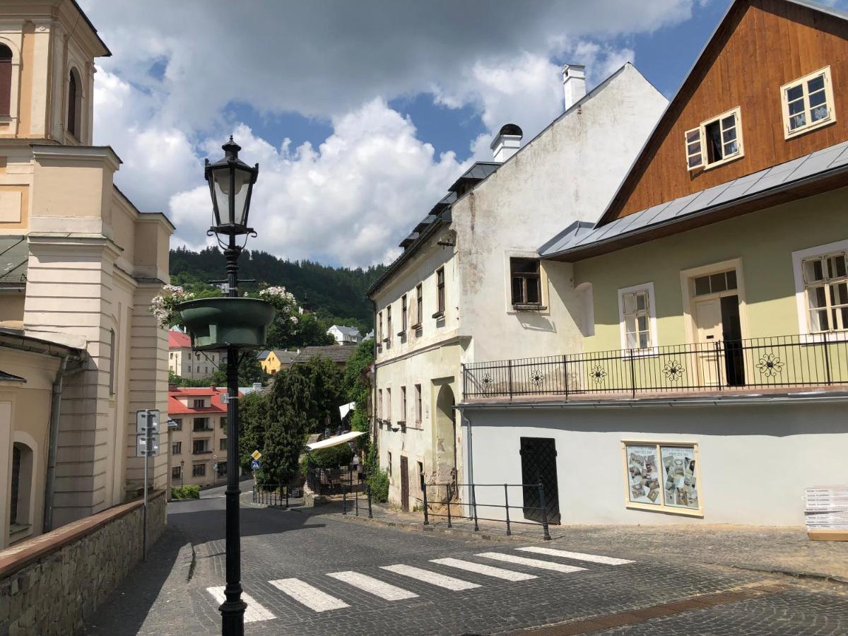 Apartman Vila Rosenberg Banská Štiavnica Екстериор снимка